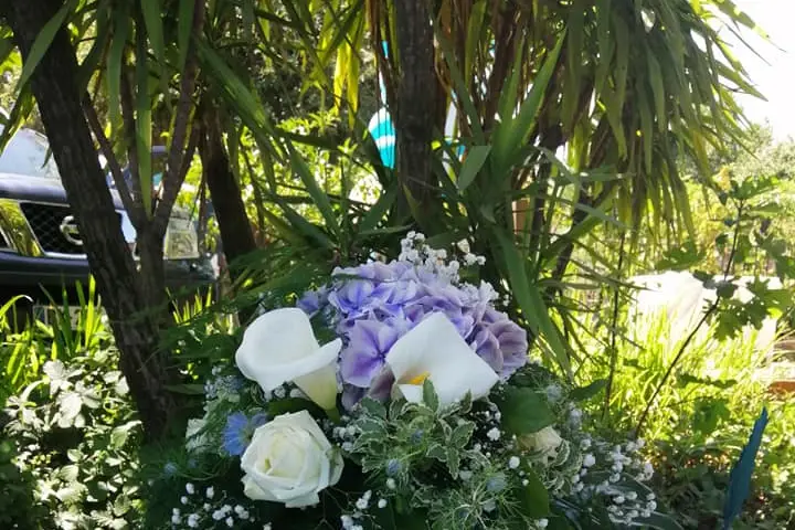 Anais Fleurs — photo 8