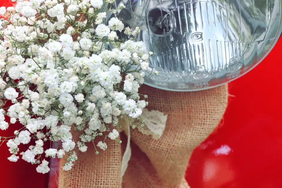 Les Belles Lurettes — photo 7