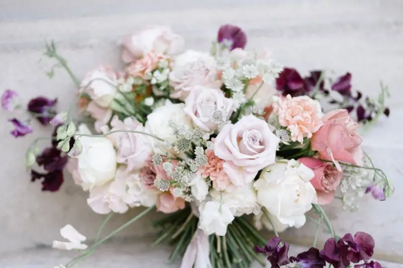 Laure Guingand — photo 5