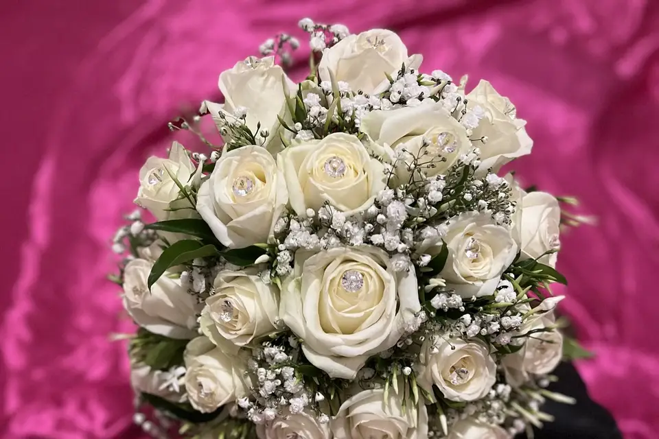 Delphia Paul — photo 5