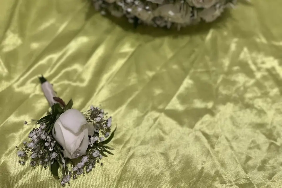 Delphia Paul — photo 7