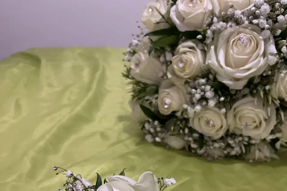 Delphia Paul — photo 4