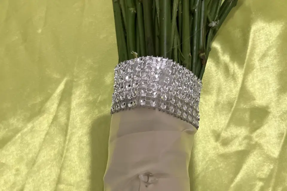 Delphia Paul — photo 6