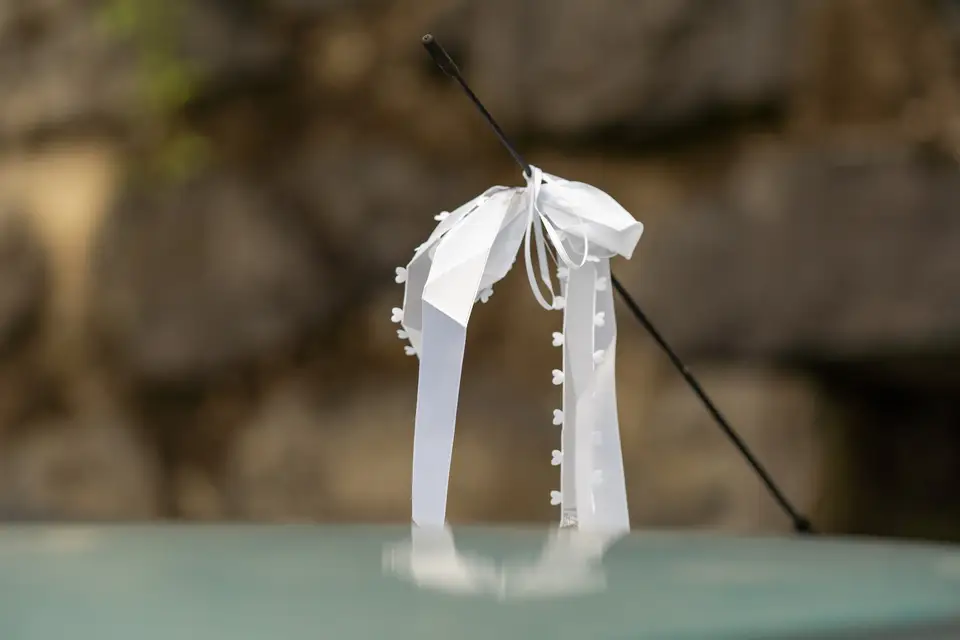 French Wave Production — photo 6