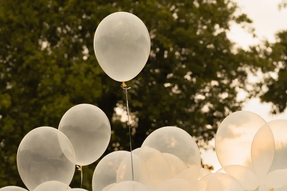 French Wave Production — photo 5