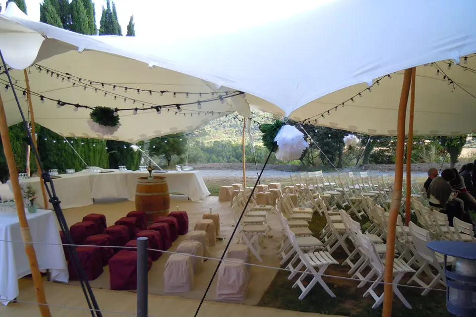 Château Ciceron — photo 2