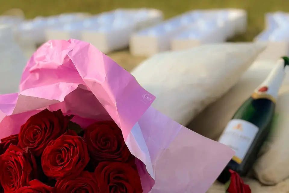 Nolwenn Studio — photo 2