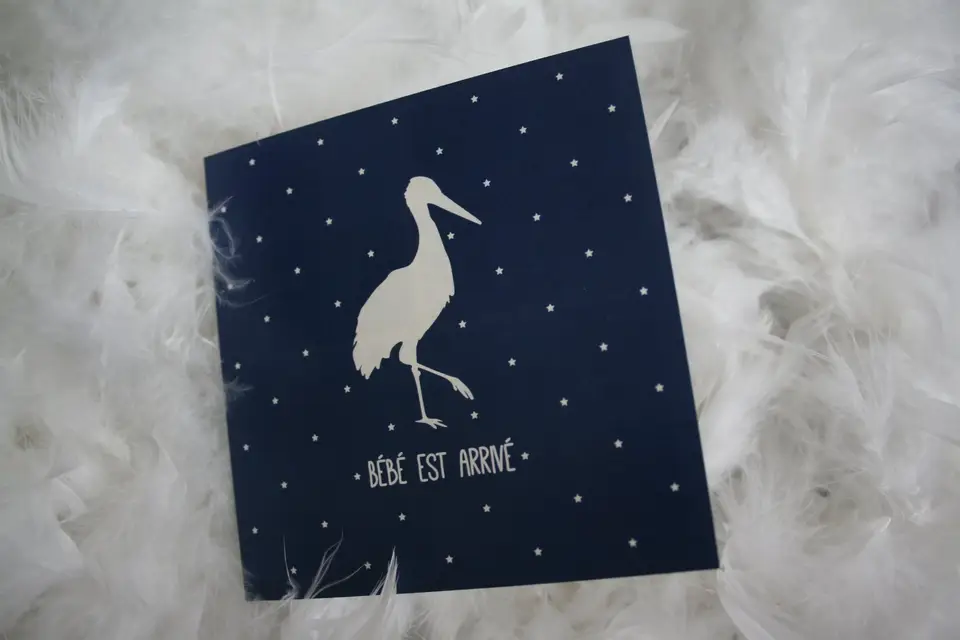 Apolline Décore — photo 6