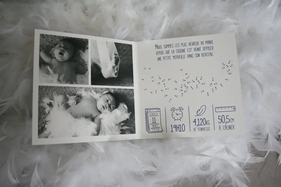 Apolline Décore — photo 7