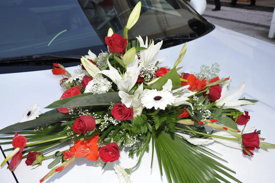 Simo Création — photo 5