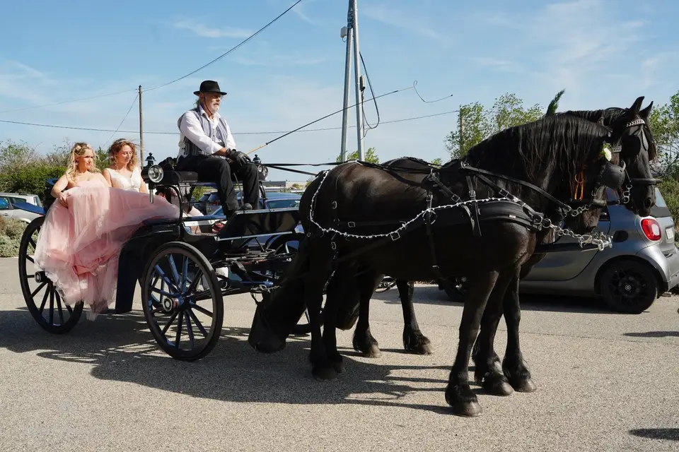 File aux vents — photo 1