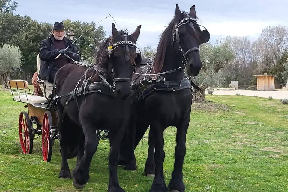 File aux vents — photo 8