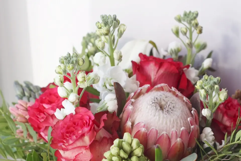 Fleur Désir — photo 2