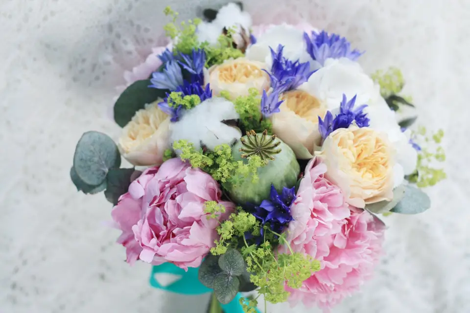 Fleur Désir — photo 6