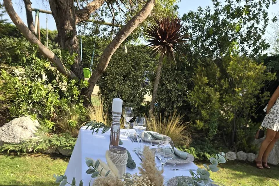 La Cigale du Sud — photo 6