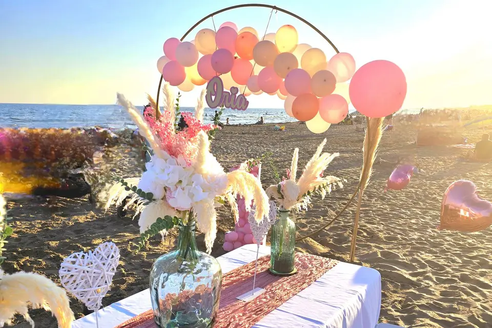 La Cigale du Sud — photo 5