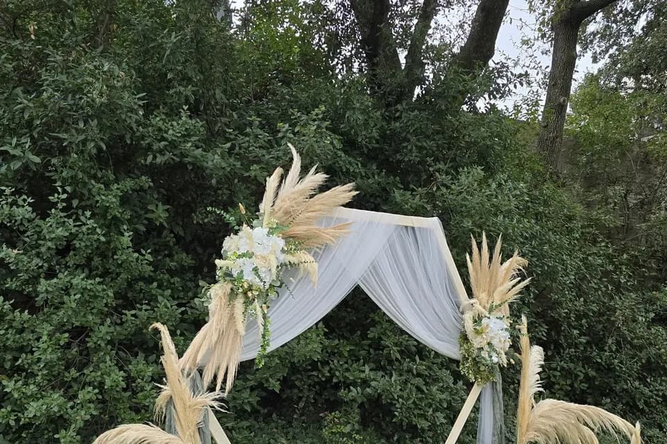 La Cigale du Sud — photo 2