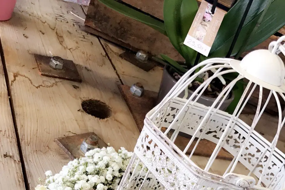 L'instant Fleurs — photo 1