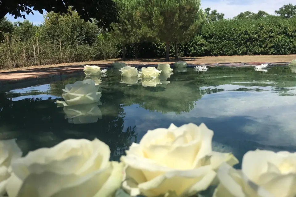 L'instant Fleurs — photo 2