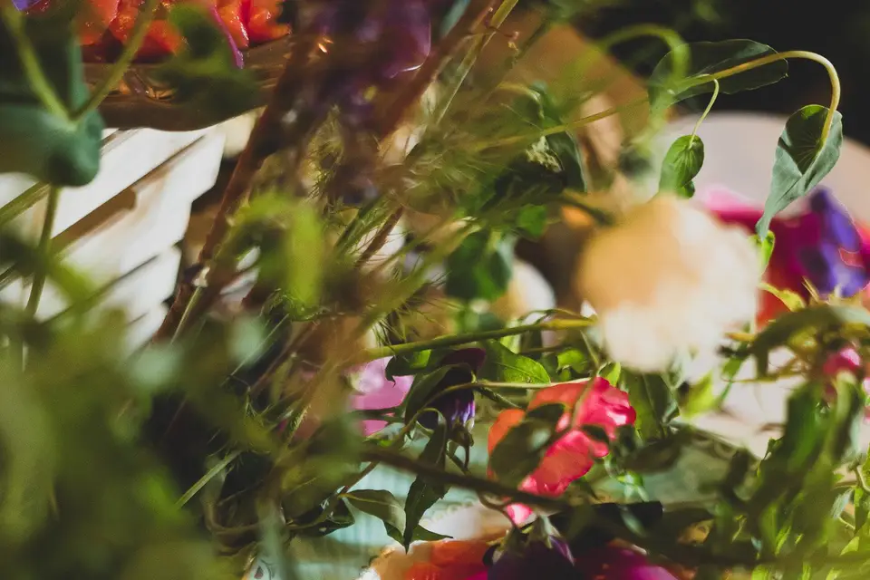 Manger Bonard — photo 8