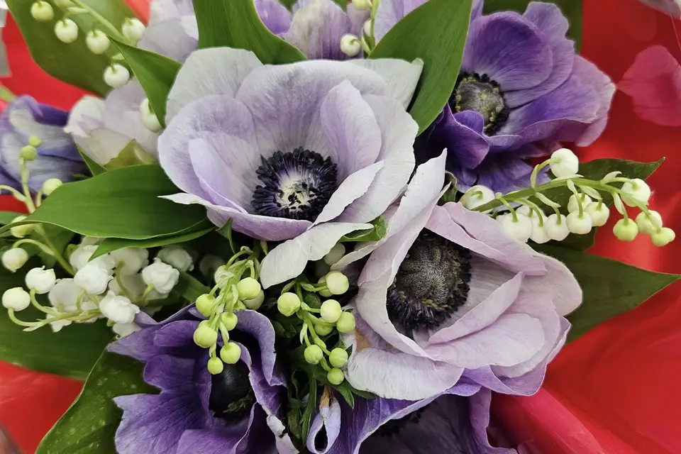 Cascade de Fleurs — photo 1