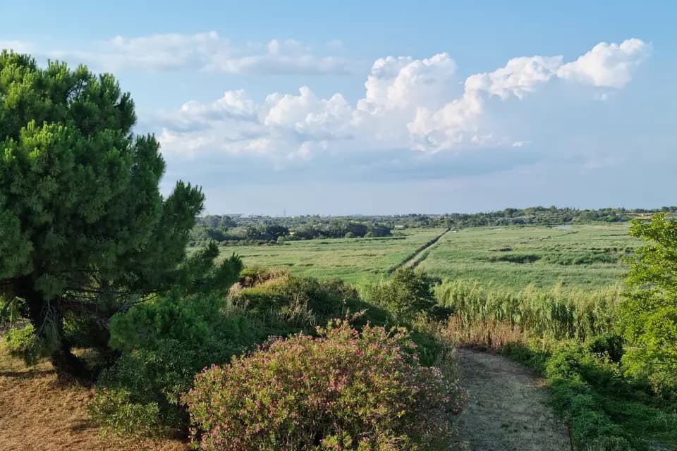 Villa Exindrio — photo 8