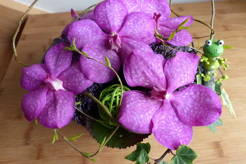 Atelier des Fritil'r — photo 2