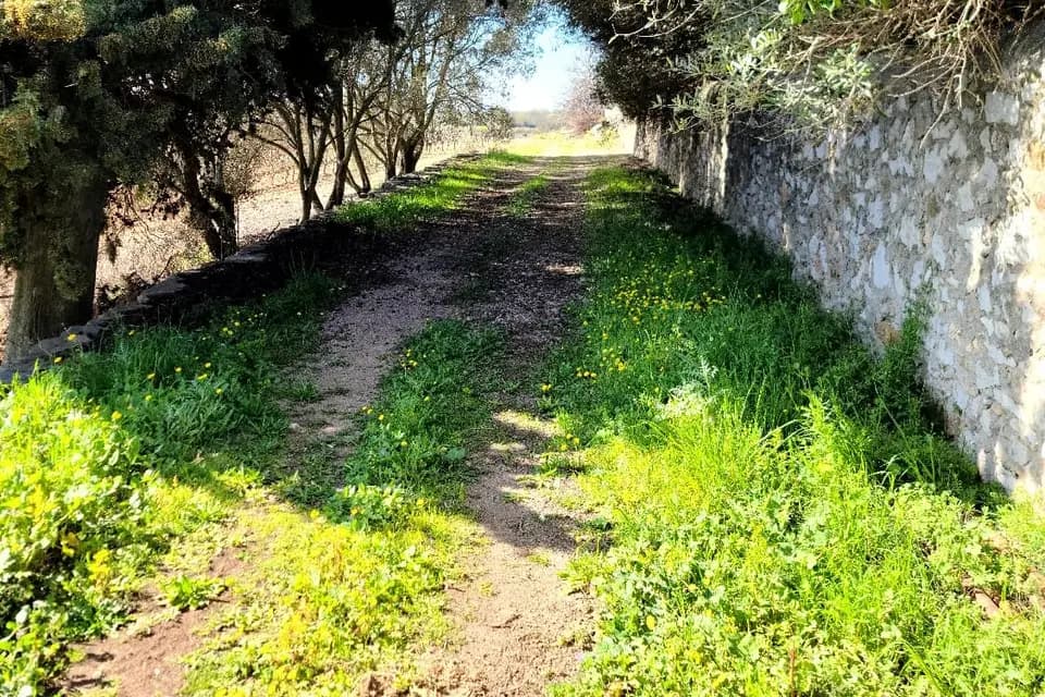 Villa Exindrio — photo 6