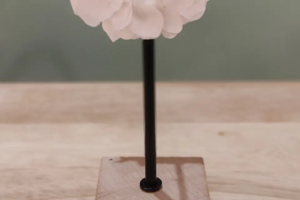 Amethyste Florale — photo 1