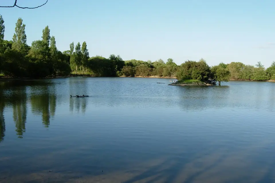 La Ferme du Forsdoff — photo 2