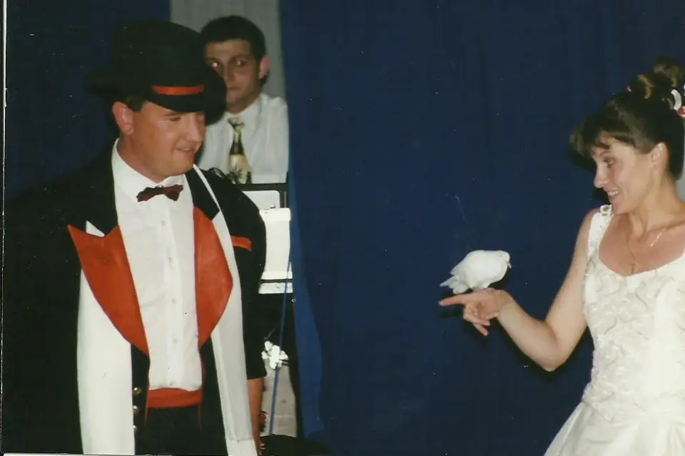 LVO Animation — photo 4