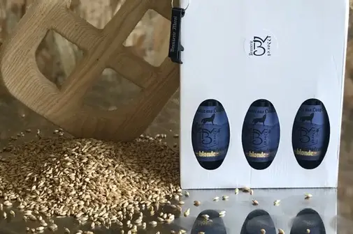 Brasserie Morel — photo 4