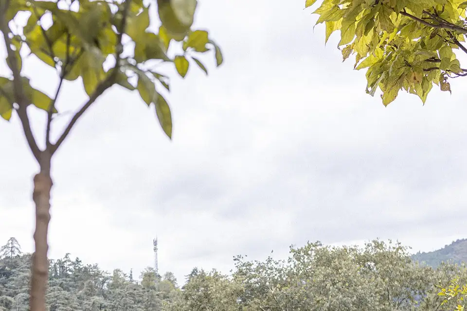 Maison Gabrielle — photo 2