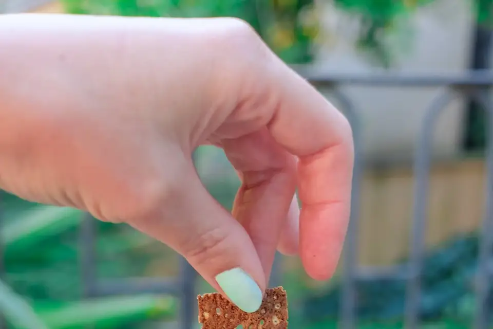 Obérose — photo 5