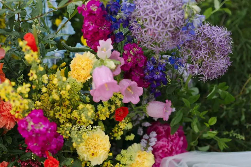 Alice Moléon — photo 3