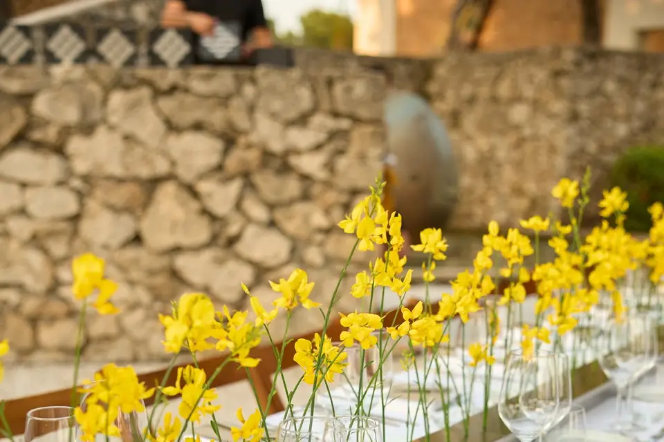 Alice Moléon — photo 5