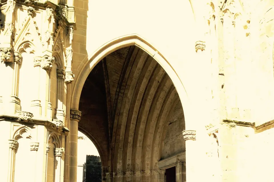 Chippy Cox — photo 6