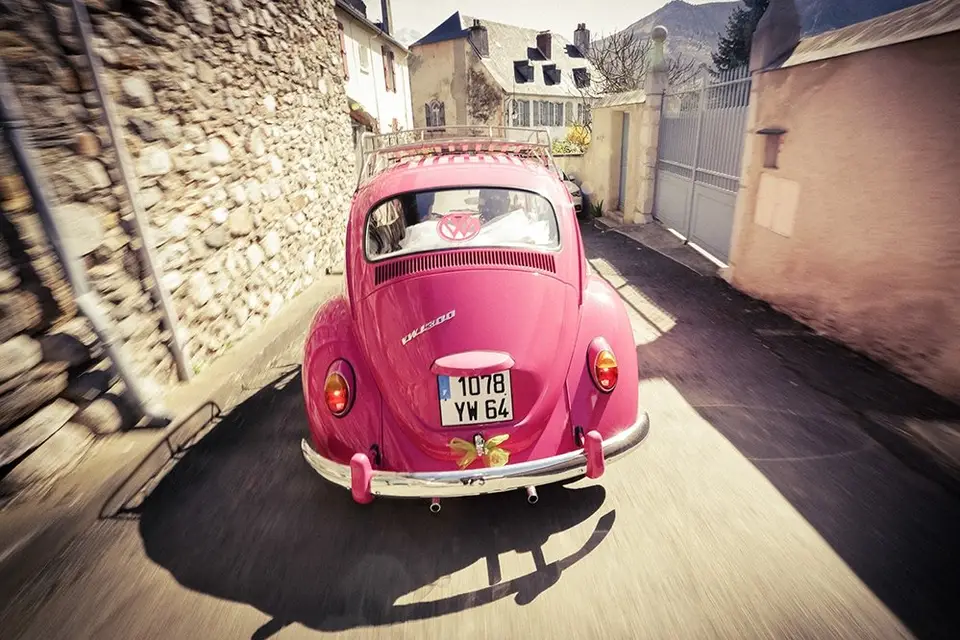 Chippy Cox — photo 2