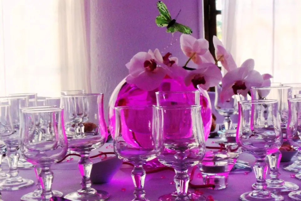 La Fleur a ses Raisons — photo 6