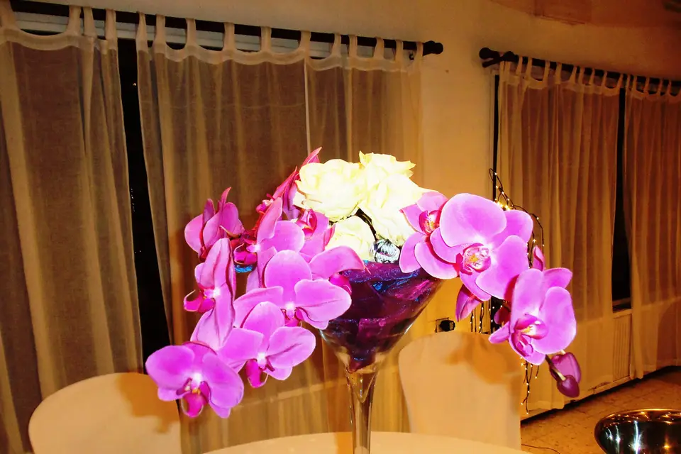 La Fleur a ses Raisons — photo 5