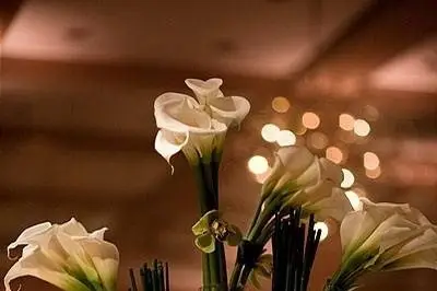 La Fleur a ses Raisons — photo 4