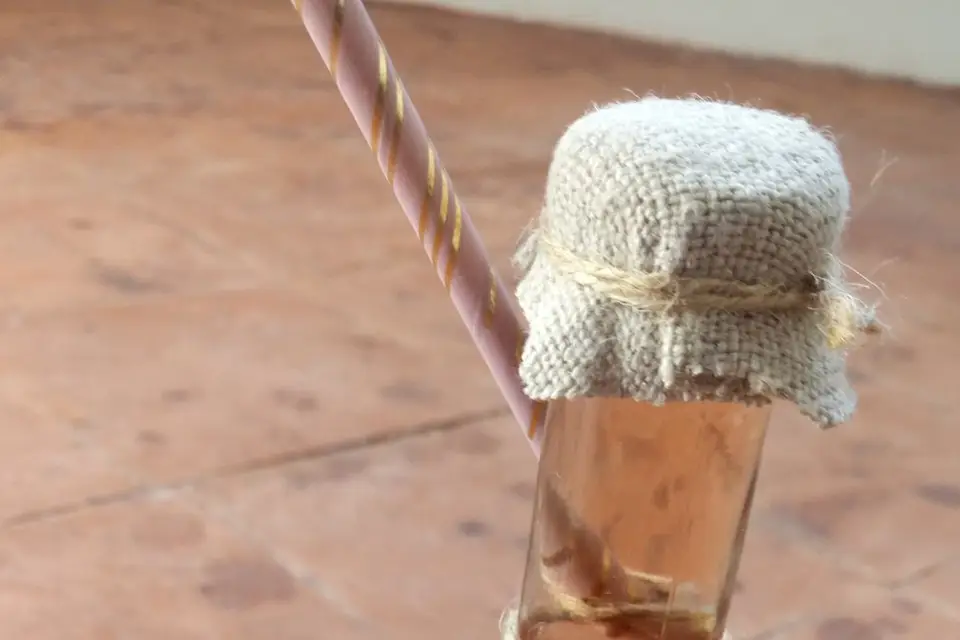 Céline M — photo 6