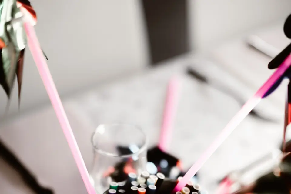 Lyv Wedding — photo 8