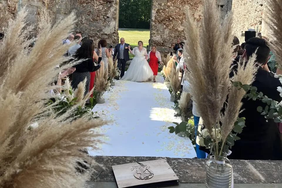 Djtdy Pro Events — photo 3