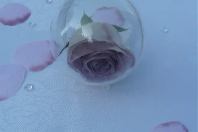 Blanc Bleu Rêve — photo 2