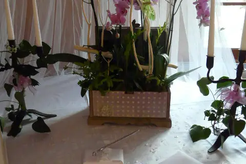 Blanc Bleu Rêve — photo 4