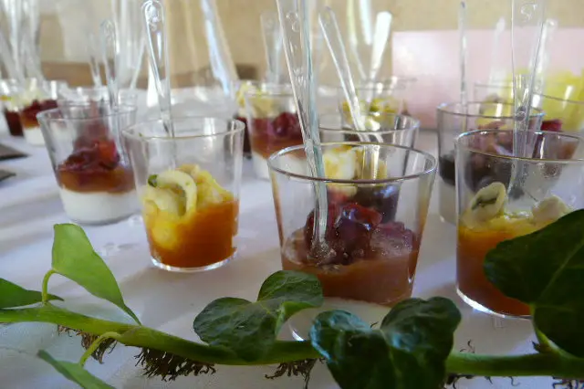 Blanc Bleu Rêve — photo 5