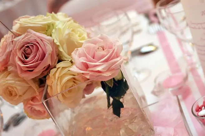 Elae Production — photo 2