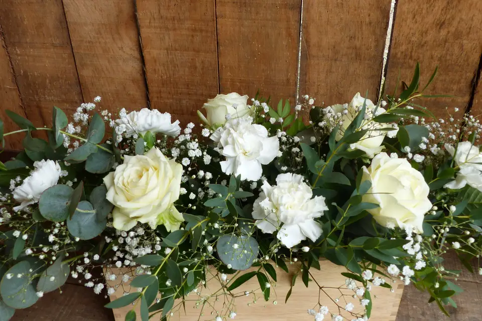 L'Entre Pots — photo 7