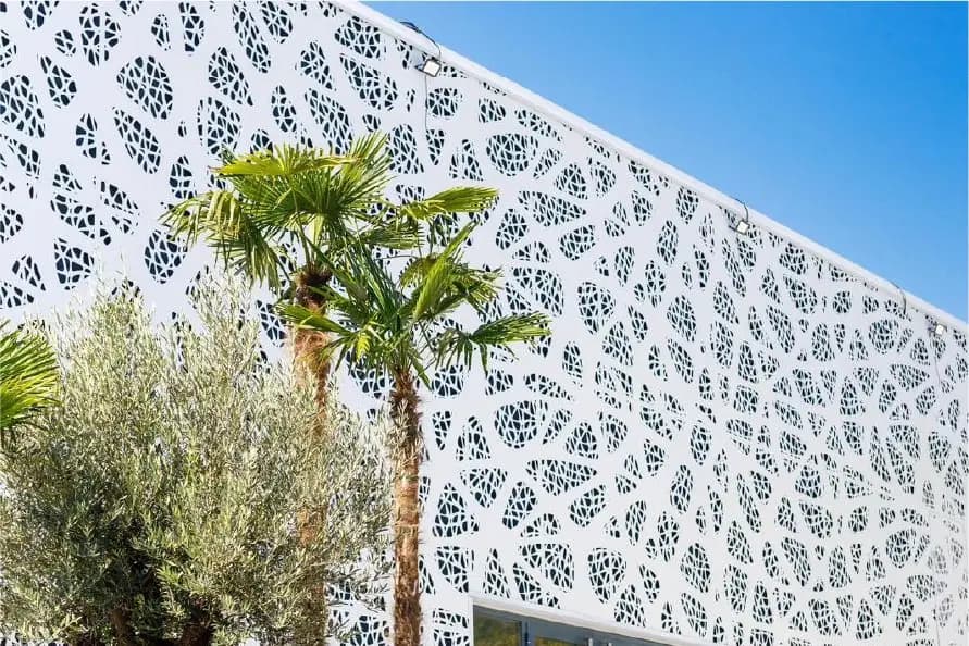 Le White — photo 4